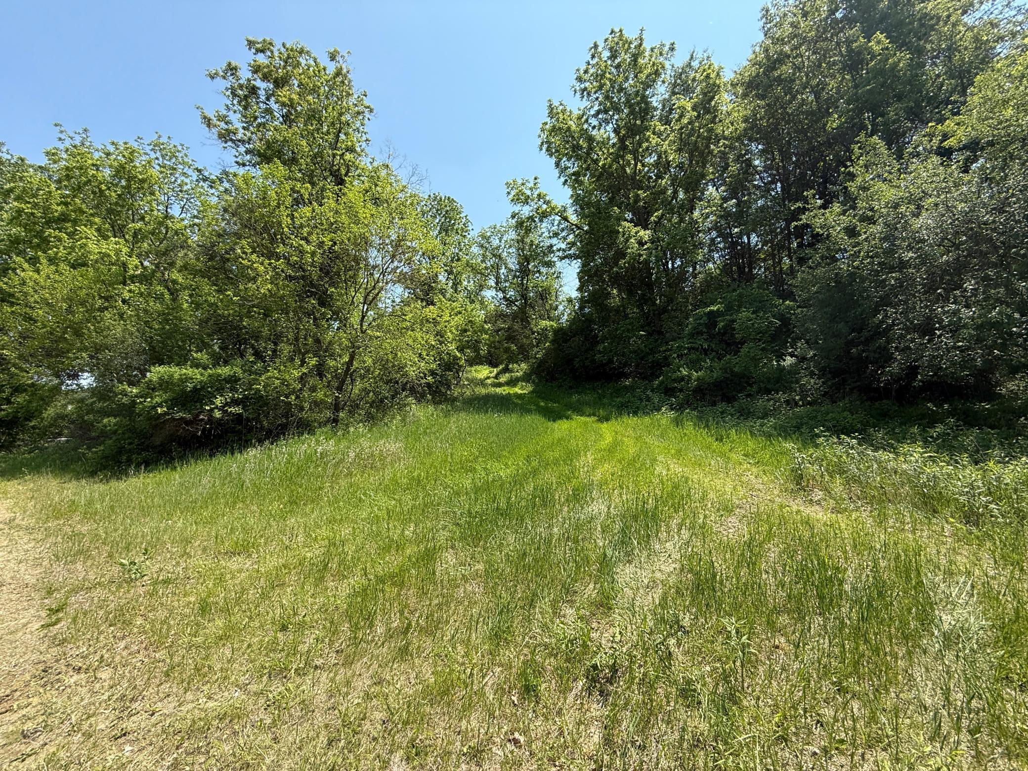 13 Rd Houston Mn 55943 Road Houston, MN 55943 - Photo 47 of 48