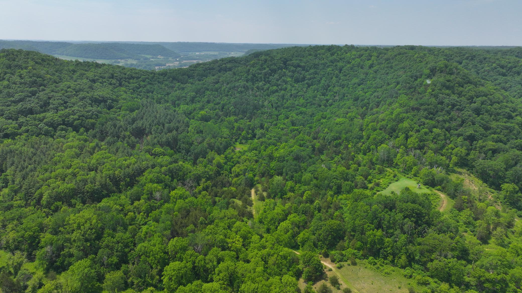 13 Rd Houston Mn 55943 Road Houston, MN 55943 - Photo 5 of 48