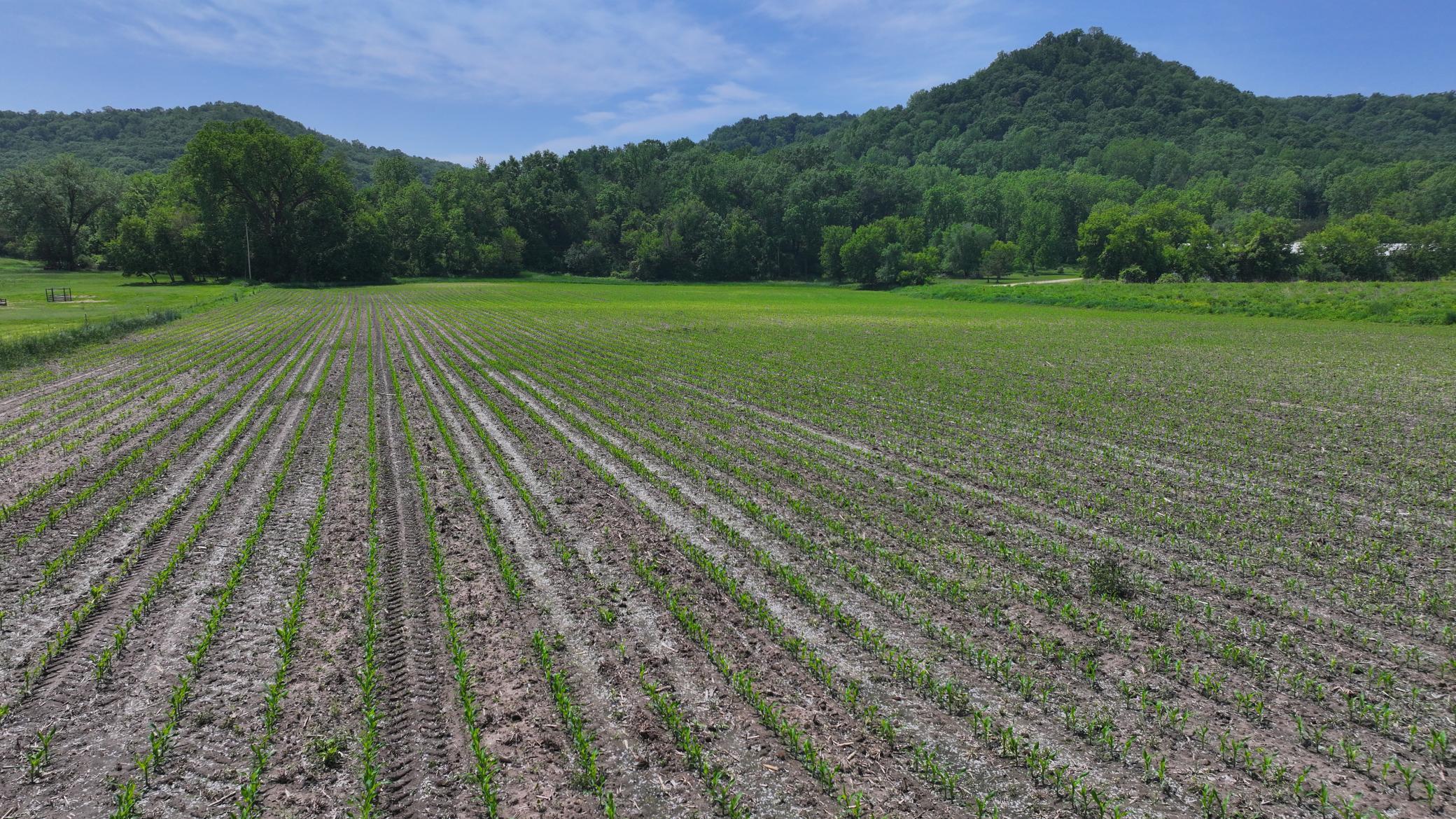13 Rd Houston Mn 55943 Road Houston, MN 55943 - Photo 8 of 48
