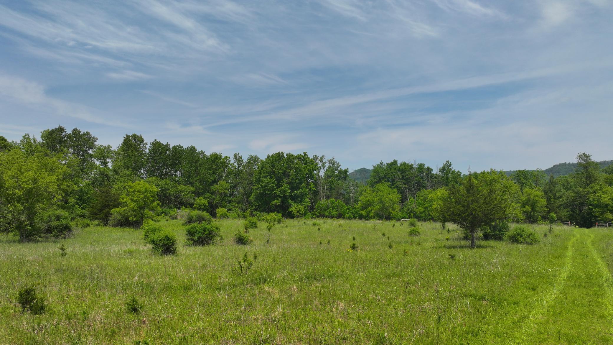 13 Rd Houston Mn 55943 Road Houston, MN 55943 - Photo 9 of 48
