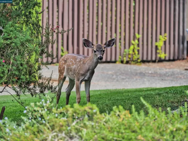 $399,999 | 938 Lea Drive, San Rafael, CA 94903