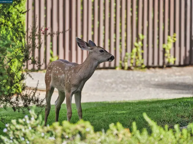 $399,999 | 938 Lea Drive, San Rafael, CA 94903