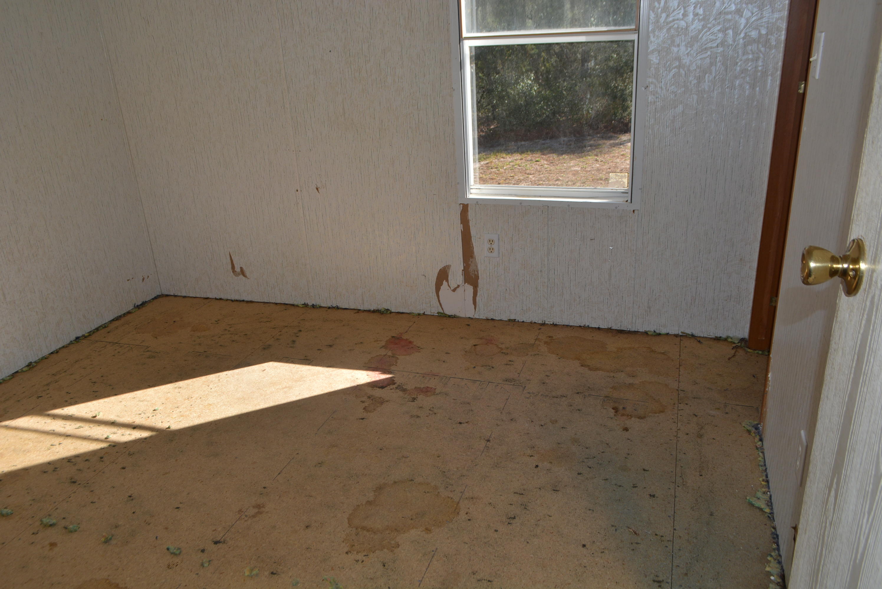 197 Ranger Road DeFuniak Springs, FL 32433 - Photo 12 of 16 an empty room with a window