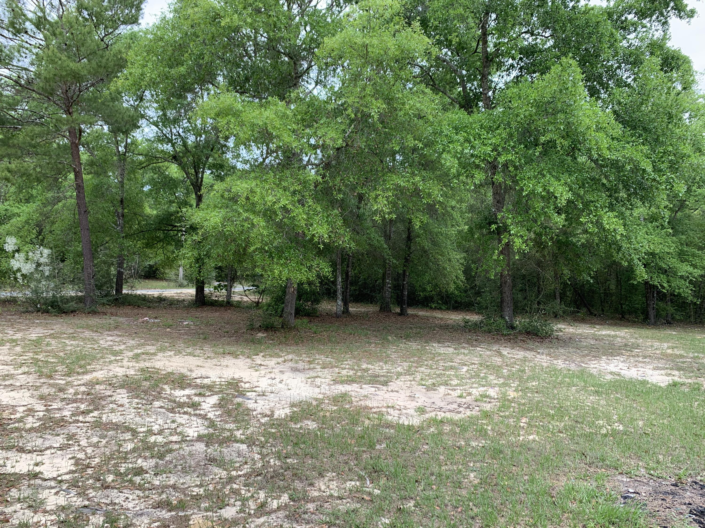 197 Ranger Road DeFuniak Springs, FL 32433 - Photo 14 of 16 a view of a tree in the middle of a yard