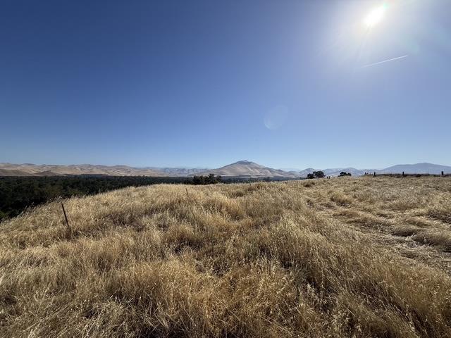 1900 North Piedra Road Sanger, CA 93657 - Photo 11 of 13
