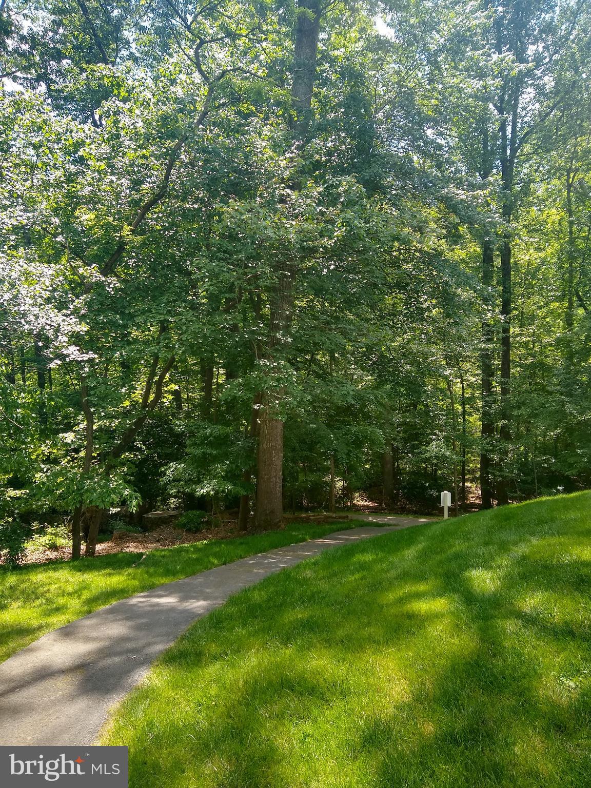 2292 Gunsmith Square Reston, VA 20191 - Photo 54 of 57