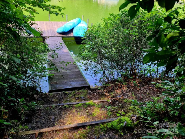 a garden view with a garden