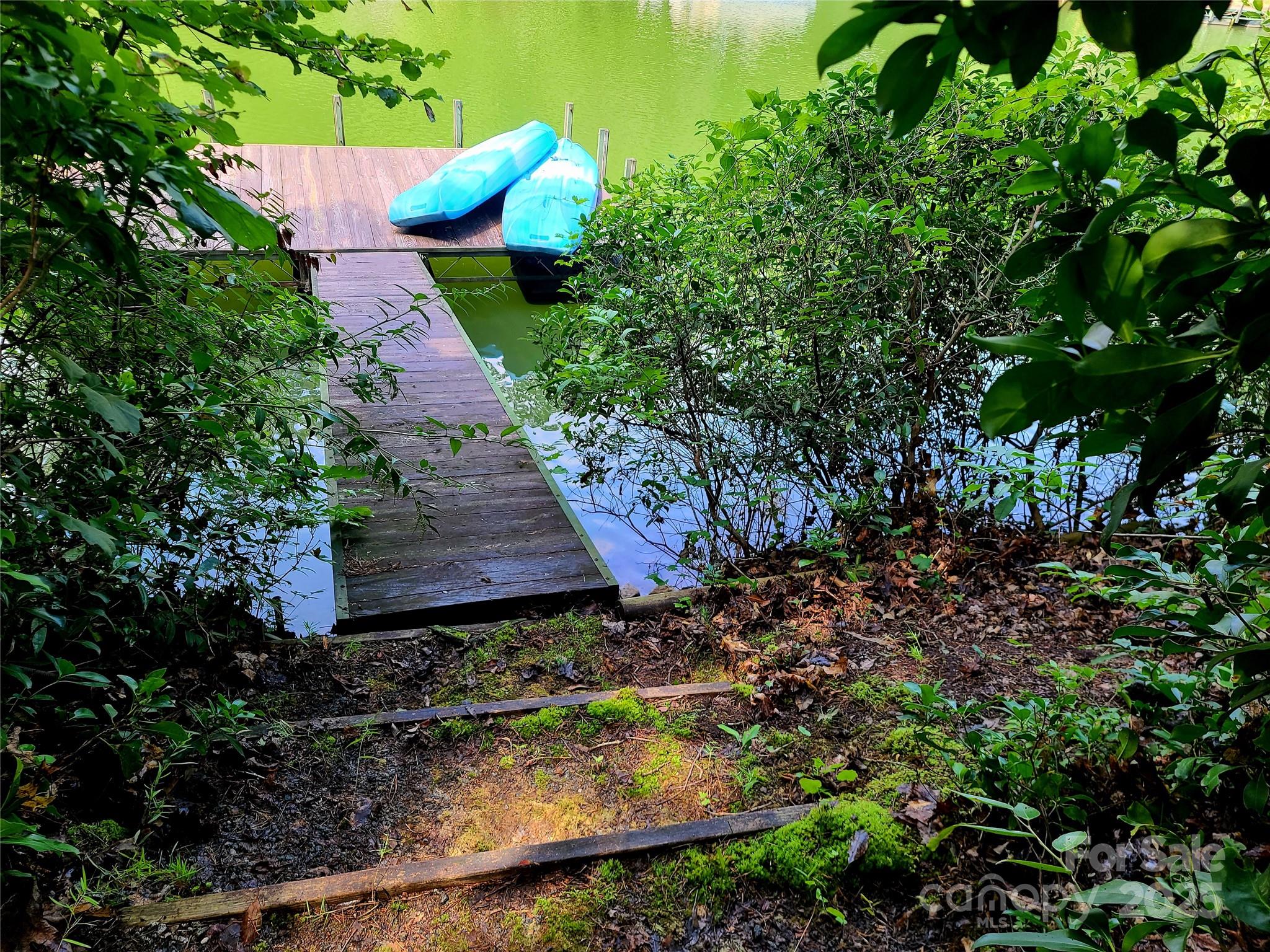 a garden view with a garden