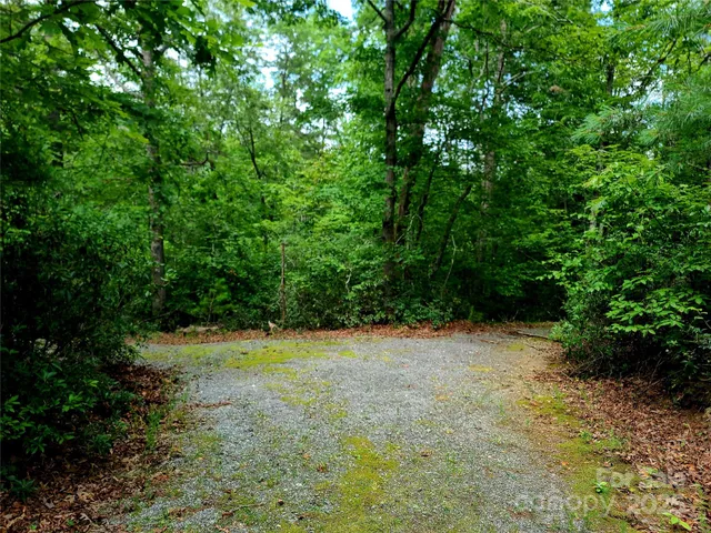 a view of a field with trees in the background