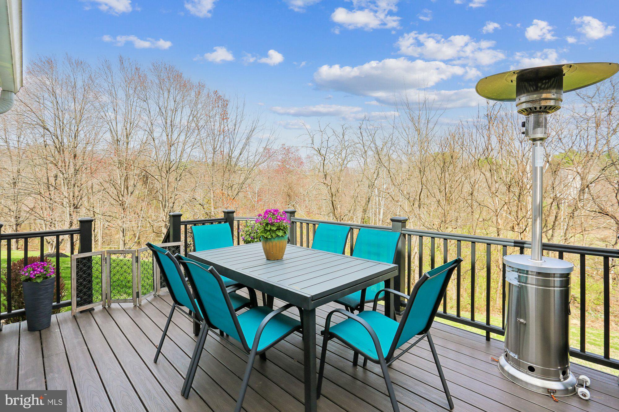 9 Midsummer Court Gaithersburg, MD 20878 - Photo 26 of 69 Deck overlooking parkland