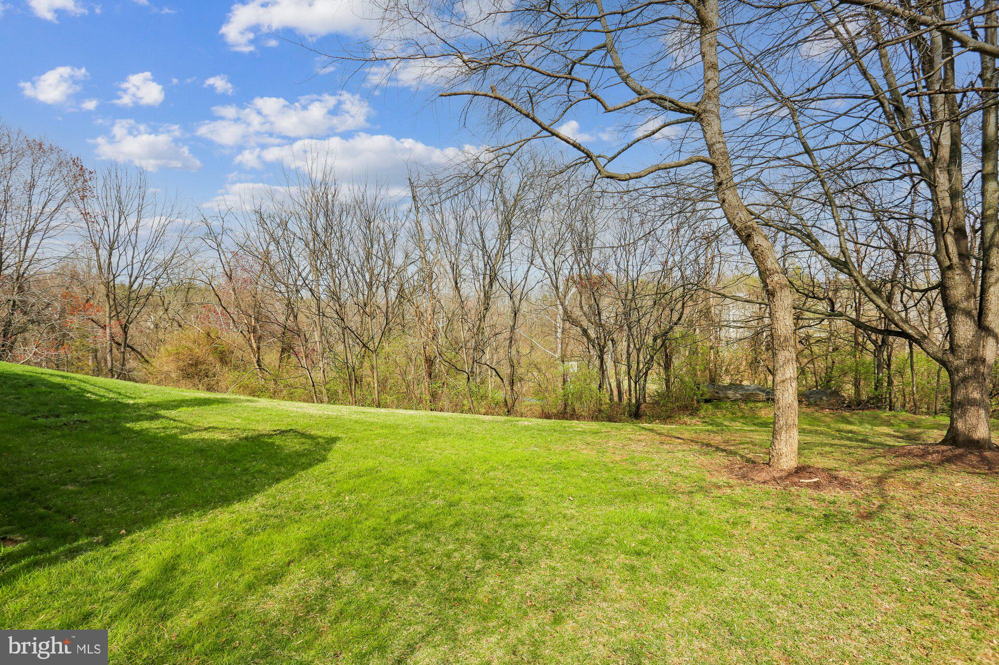 9 Midsummer Court Gaithersburg, MD 20878 - Photo 67 of 69 a view of yard with tree in the background