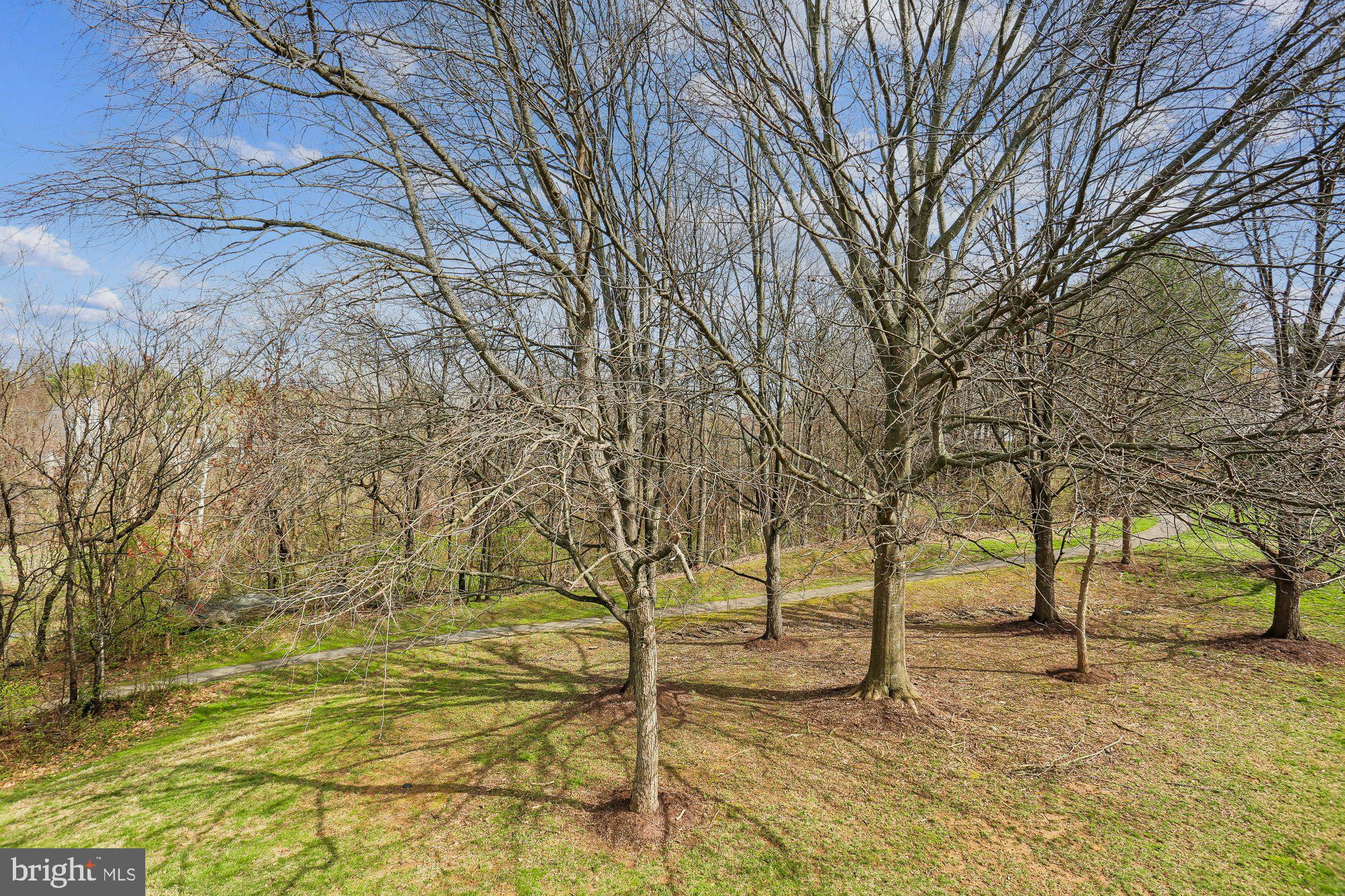 9 Midsummer Court Gaithersburg, MD 20878 - Photo 69 of 69 Backyard backing to parkland