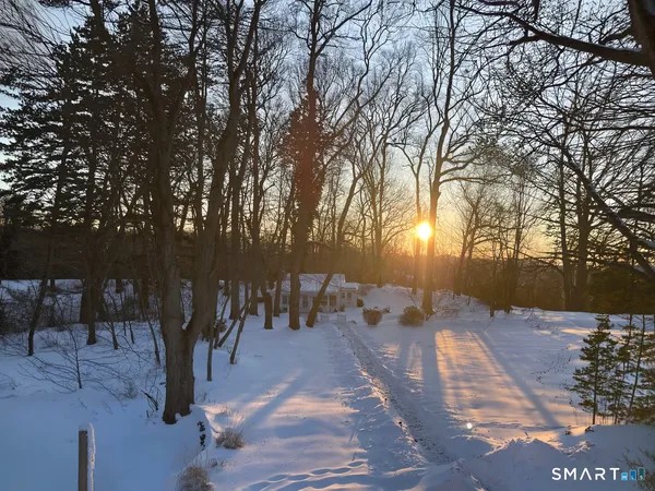 a view of a yard with trees