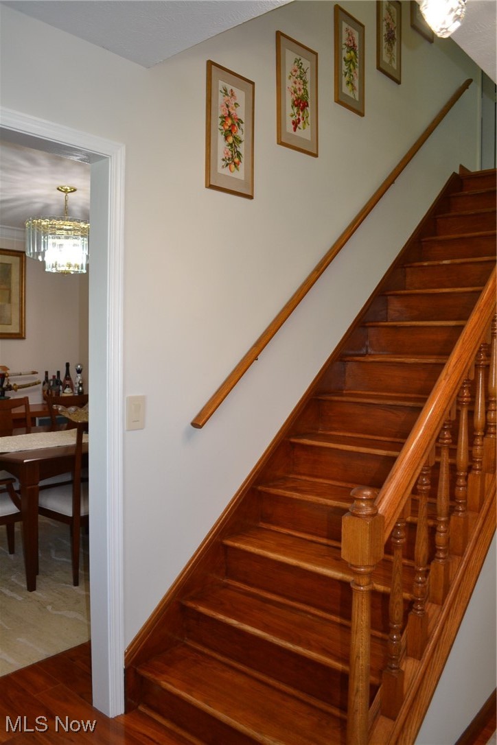 36145 Bainbridge Road Solon, OH 44139 - Photo 17 of 48 Gallery Image 17