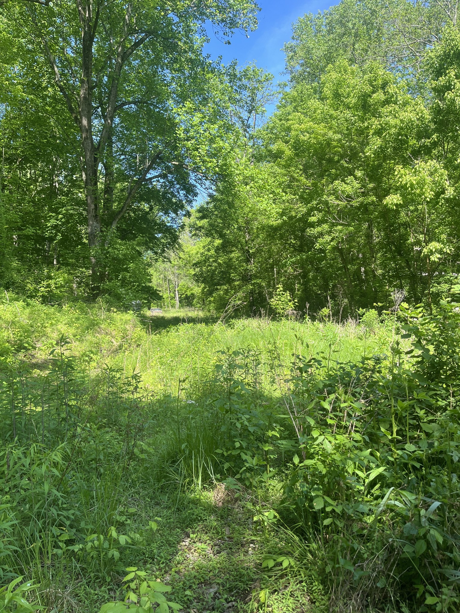 0 Hawkins Road Westmoreland, TN 37186 - Photo 2 of 8