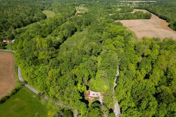 a view of a yard and swimming pool