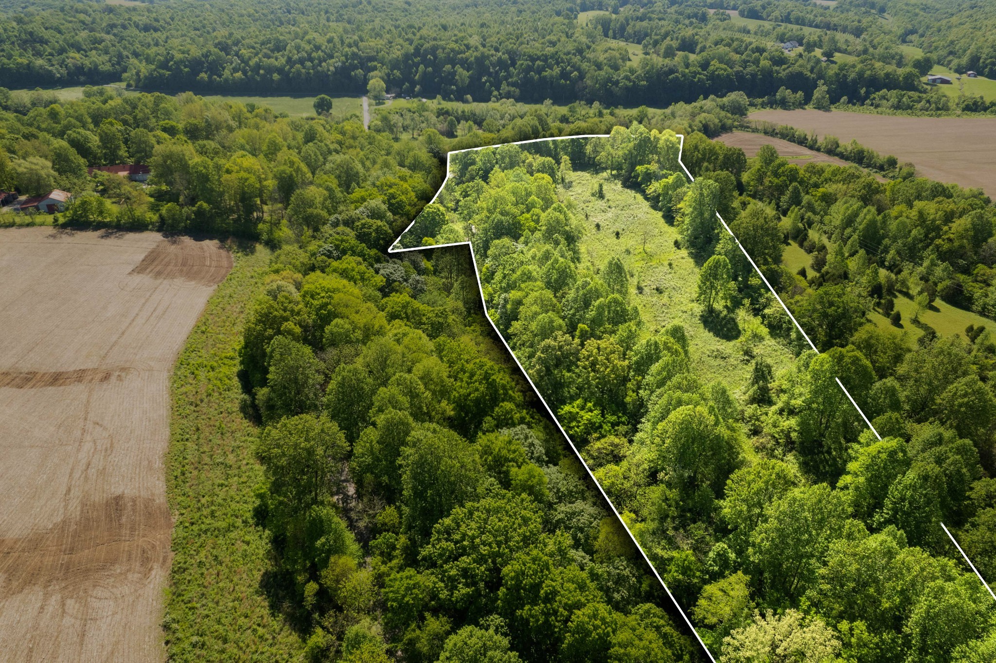 0 Hawkins Road Westmoreland, TN 37186 - Photo 5 of 8 a view of a yard and swimming pool