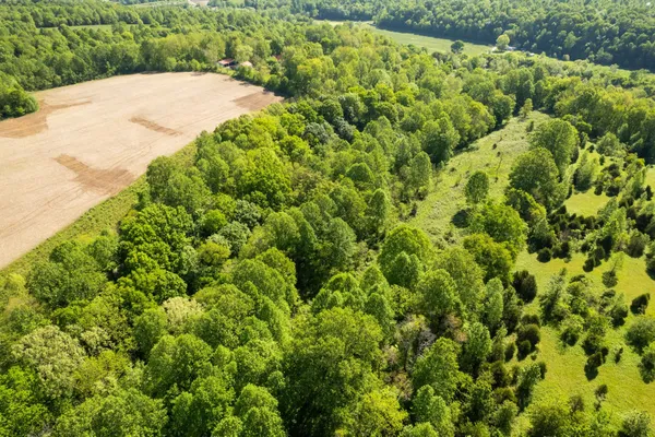 a view of a garden with a plants