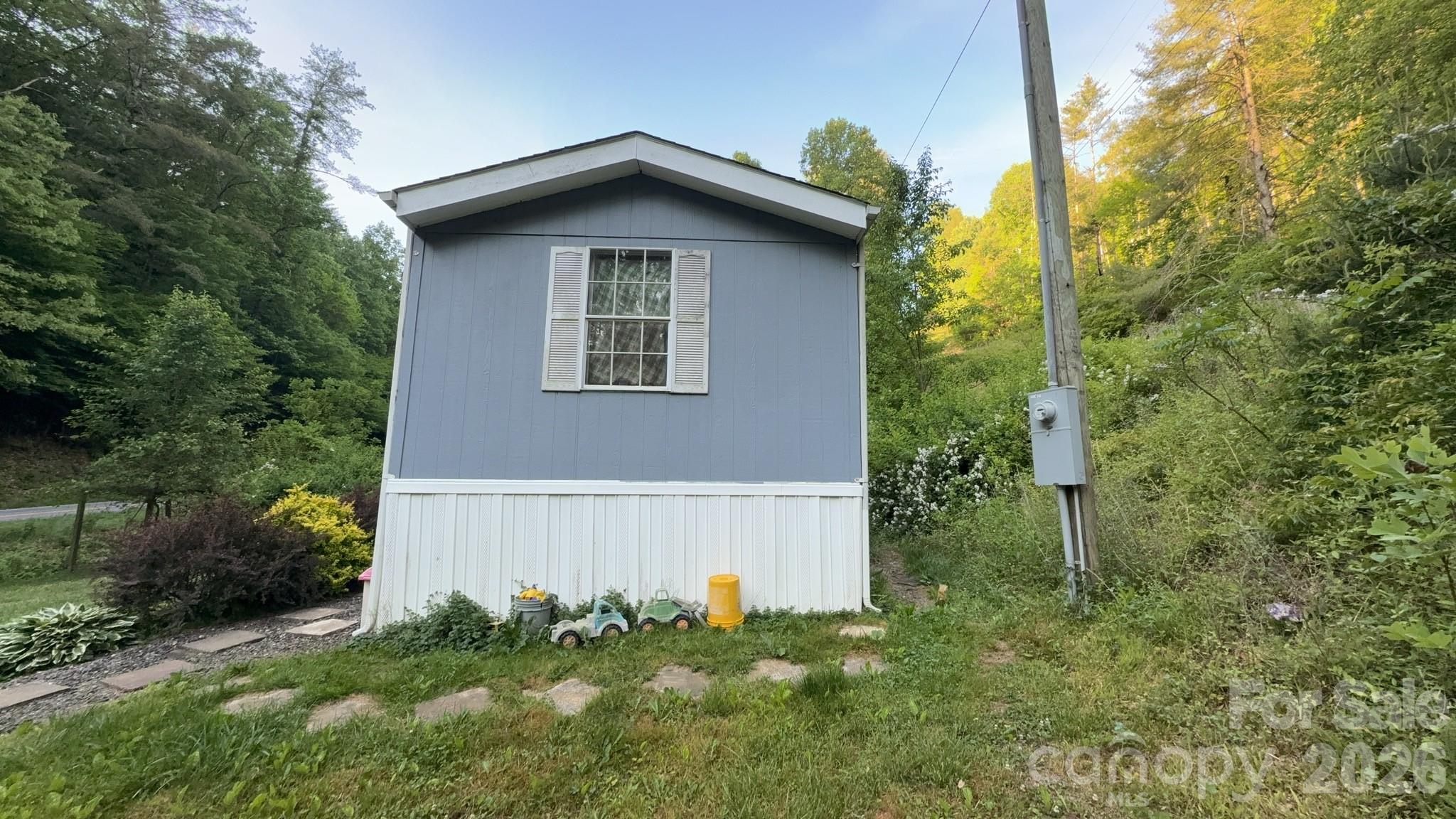 468 Long Branch Road Green Mountain, NC 28740 - Photo 3 of 25