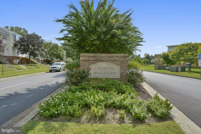 a view of a yard with potted plants and large trees