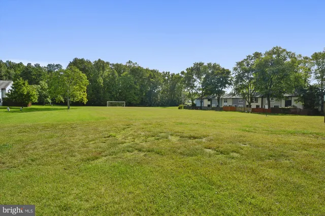 a view of a field with trees in the background