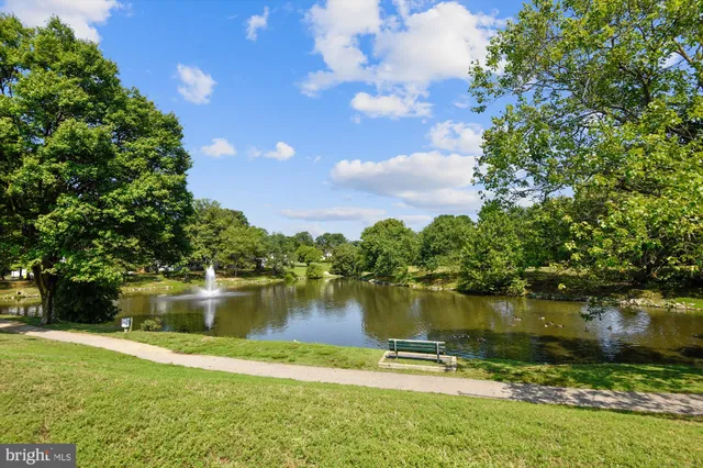 a view of a lake with a yard