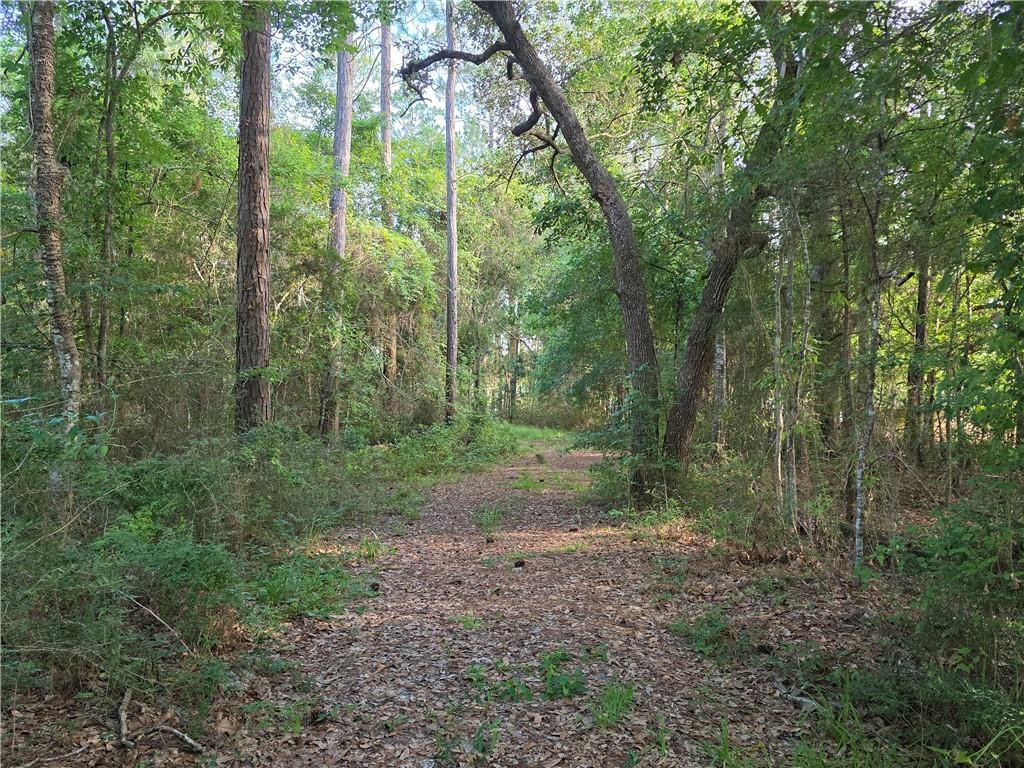 0 Chateau Drive Slidell, LA 70460 - Photo 2 of 6