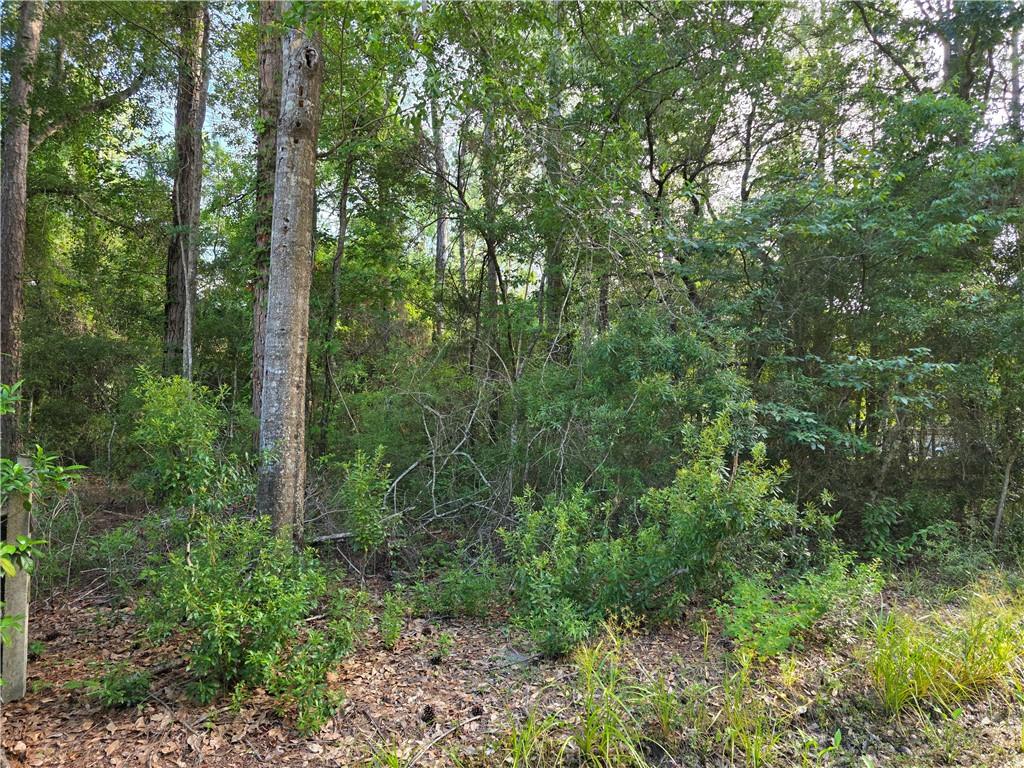 0 Chateau Drive Slidell, LA 70460 - Photo 3 of 6