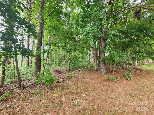 a view of a road with a yard