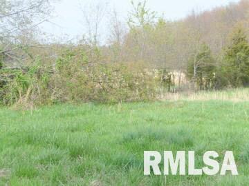 14278 Etherton Road Pittsburg, IL 62974 - Photo 9 of 16 Gallery Image 9