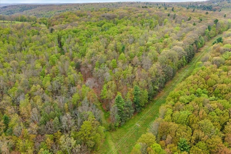 1049 Old State Road Kirkwood, NY 13904 - Photo 42 of 47