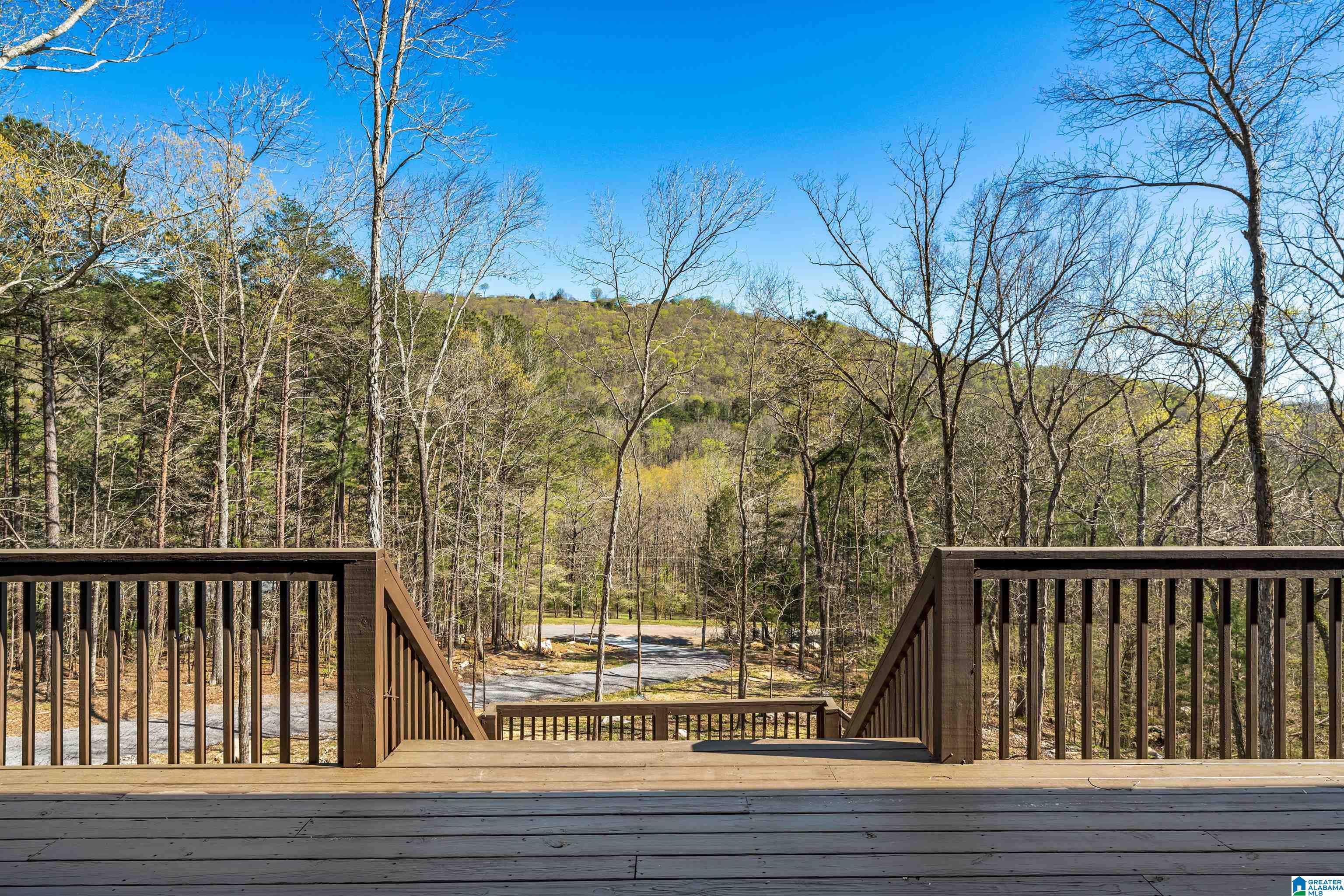 749 Mill Creek Road Warrior, AL 35180 - Photo 7 of 48