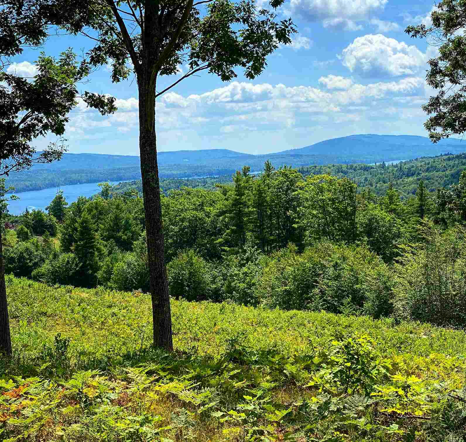 Ridge Road, Unit 12 Sunapee, NH 03782 - Photo 1 of 7
