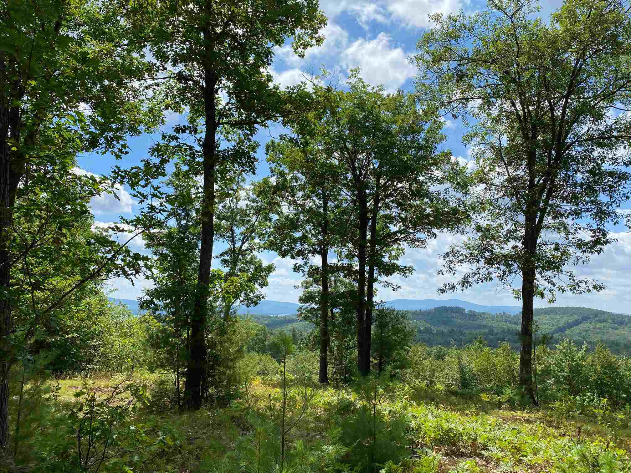 Ridge Road, Unit 12 Sunapee, NH 03782 - Photo 3 of 7