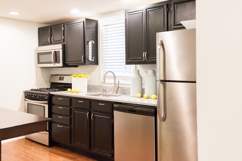 224 West Sixth Street, Unit 2 Boston, MA 02127 - Photo 9 of 18 a kitchen with stainless steel appliances a refrigerator and a sink