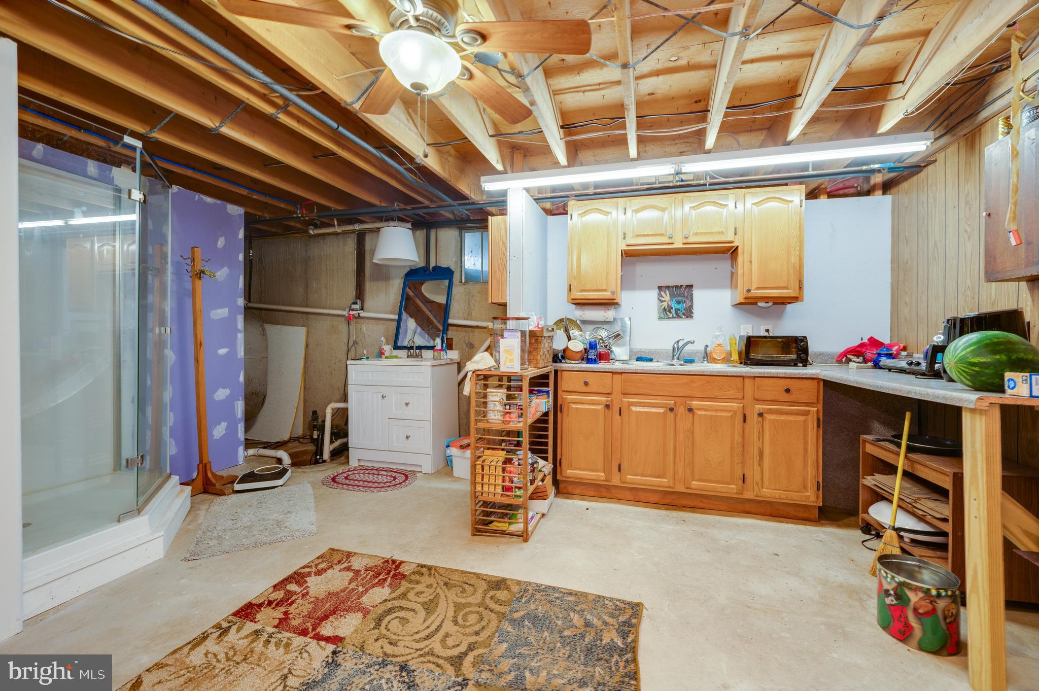 1253 Railroad Road Leesport, PA 19533 - Photo 28 of 45 Kitchenette and shower in basement