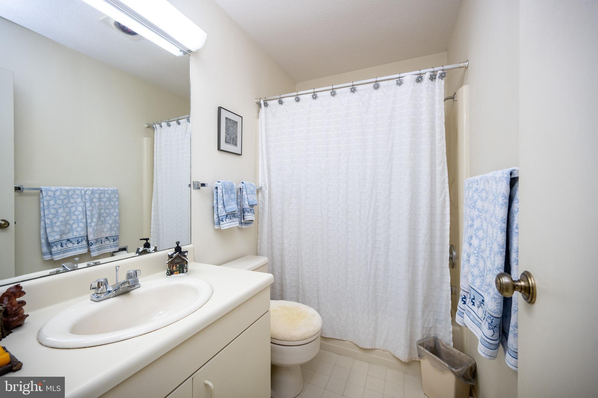 7 Winding Way, Unit 12B McHenry, MD 21541 - Photo 20 of 44 a bathroom with a sink toilet and shower