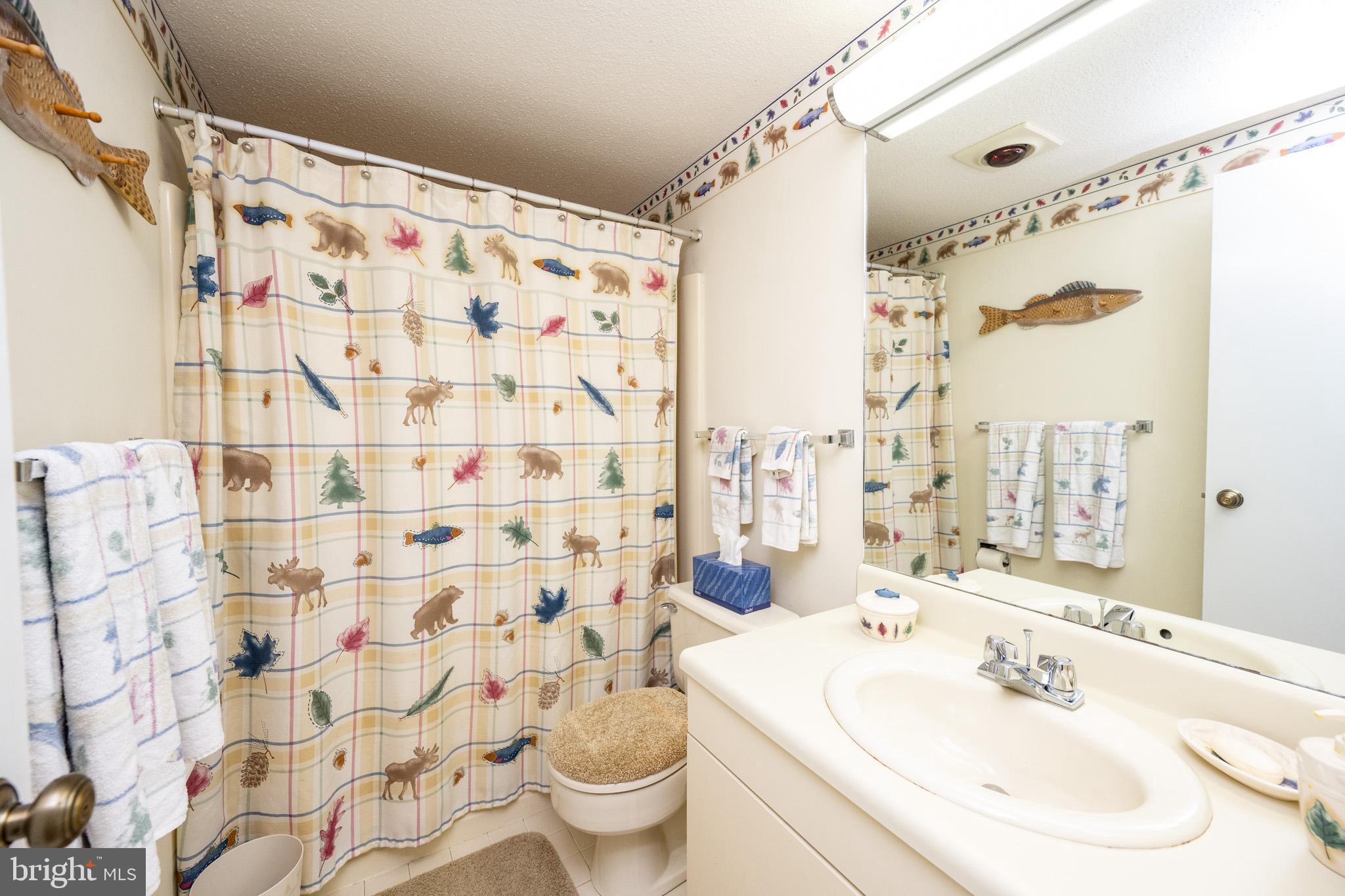 7 Winding Way, Unit 12B McHenry, MD 21541 - Photo 29 of 44 a bathroom with a sink and a mirror