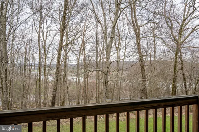 a view of trees from a balcony