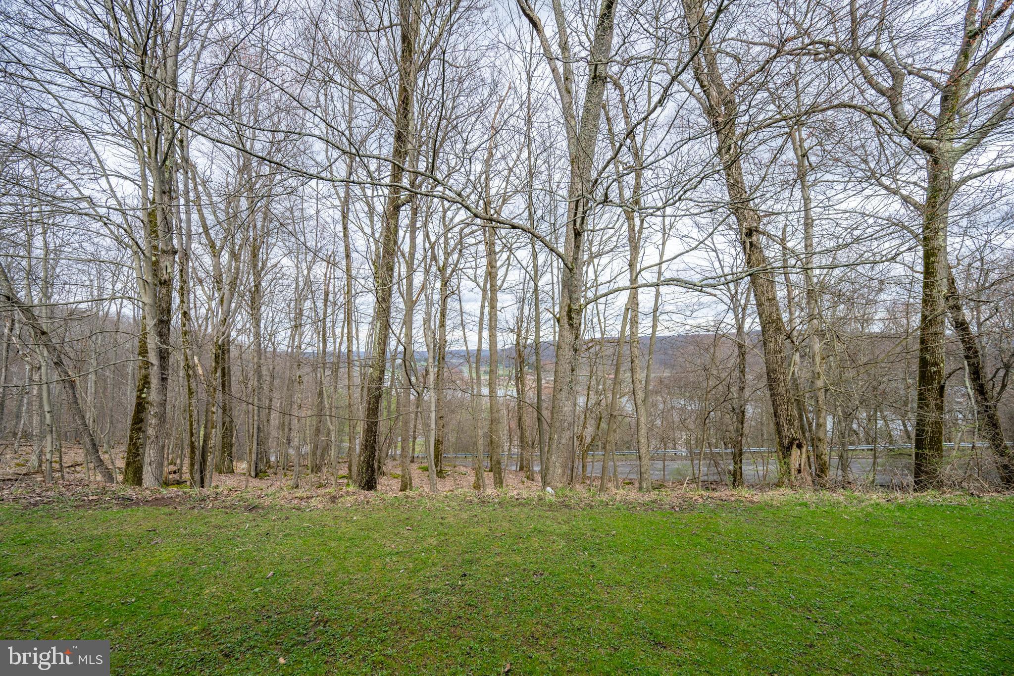 7 Winding Way, Unit 12B McHenry, MD 21541 - Photo 32 of 44 a backyard of a house with lots of green space and fountain