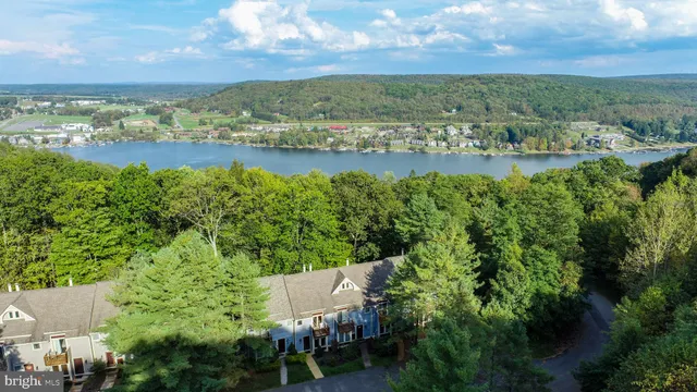 a view of city and lake