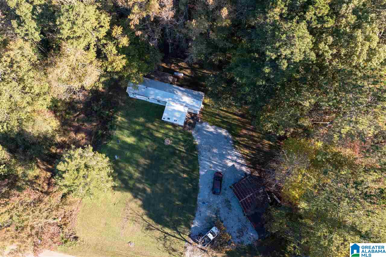 741 County Road 3 Delta, AL 36258 - Photo 1 of 26