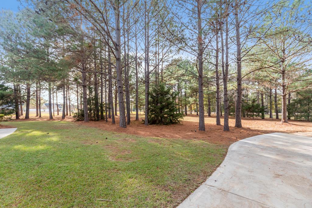 4221 Iris Road Dothan, AL 36301 - Photo 60 of 68