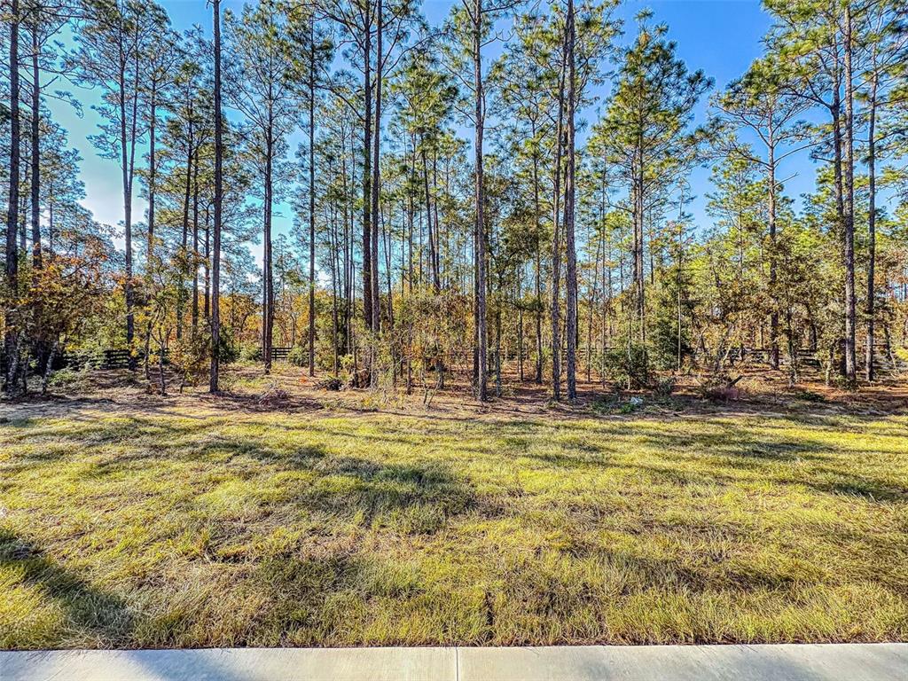 13005 Southwest 62nd Street Road Ocala, FL 34481 - Photo 55 of 63