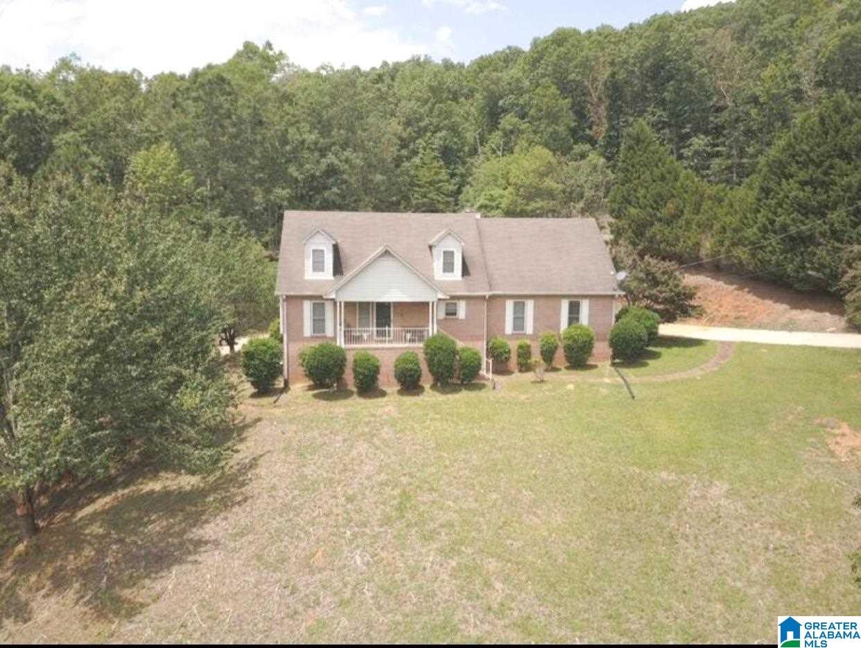 101 Sawyer Mountain Road Oneonta, AL 35121 - Photo 2 of 29