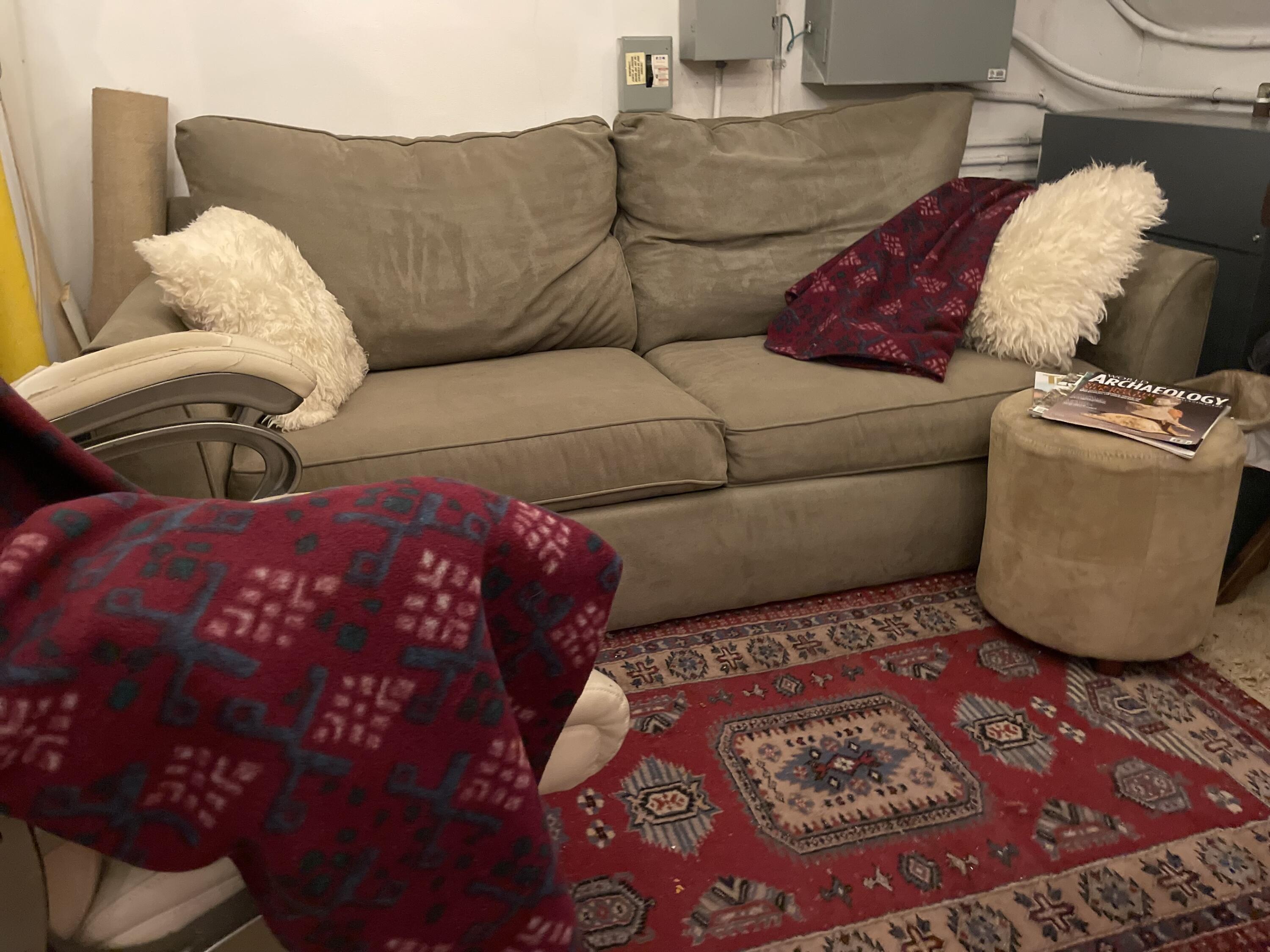 552 North West 39th Circle Boca Raton, FL 33431 - Photo 29 of 33 a living room with furniture and a rug