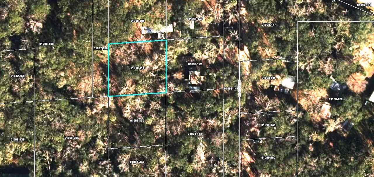 0 Nutall Rise Road Lamont, FL 32336 - Photo 1 of 1 Gallery Image 1