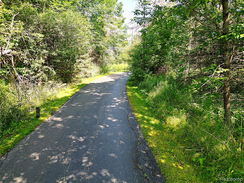 8331 Wissmiller Road South Branch, MI 48761 - Photo 42 of 59 Gallery Image 42