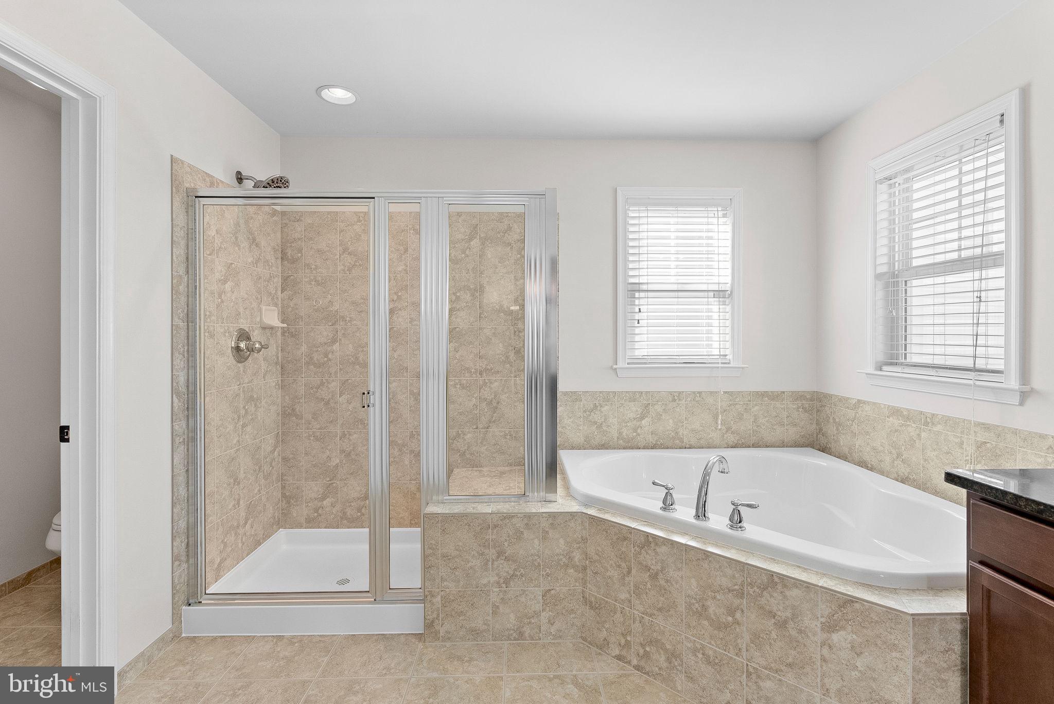 23388 Minerva Drive Brambleton, VA 20148 - Photo 30 of 57 a spacious bathroom with a tub shower and windows
