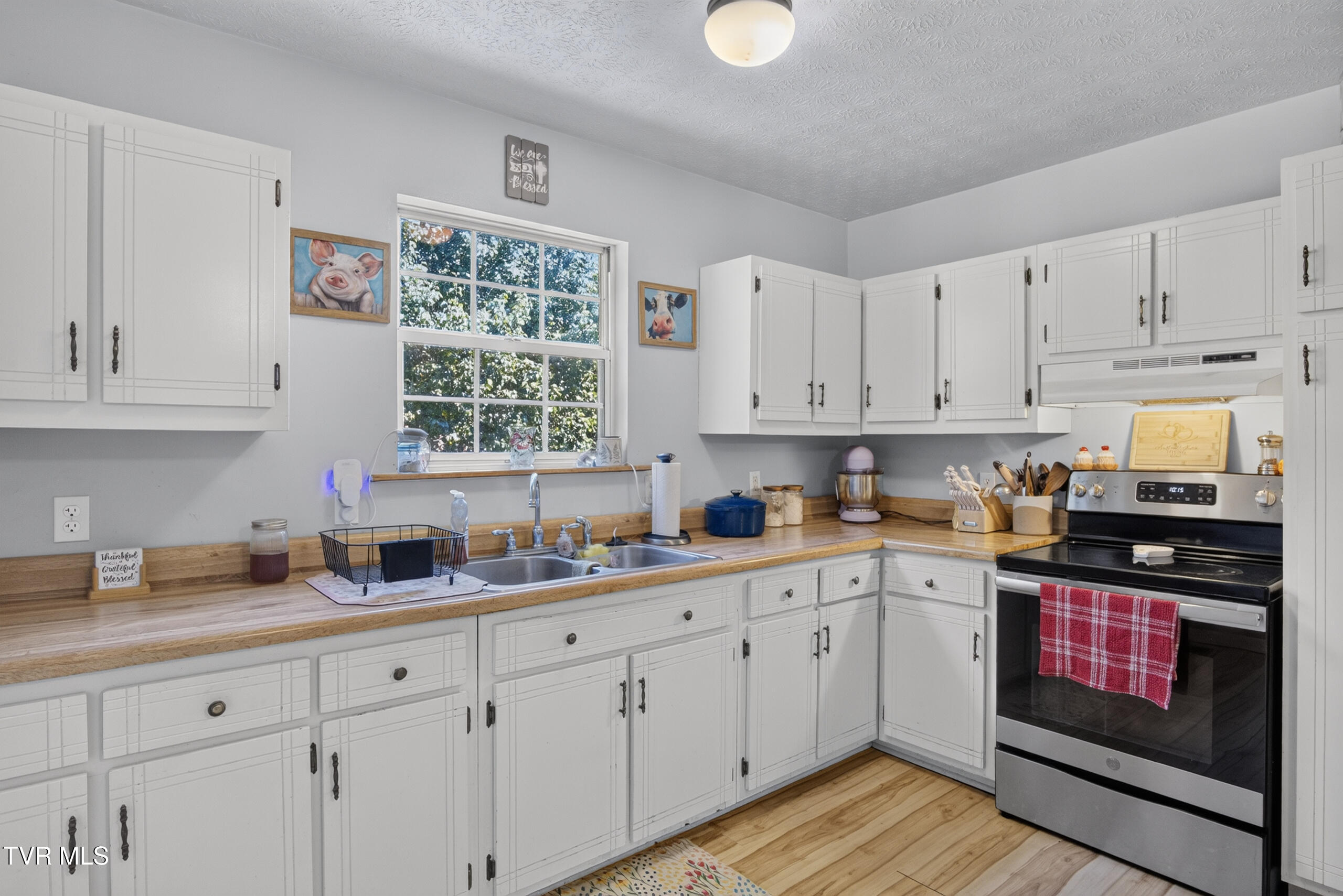 6196 Poplar Springs Road Greeneville, TN 37743 - Photo 4 of 59 DSC00747